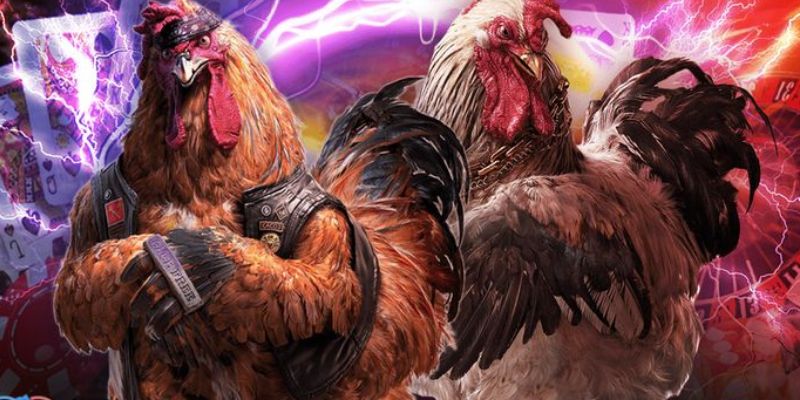 Đôi nét về chuyên mục Đá gà