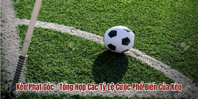 Kèo Phạt Góc - Tổng Hợp Các Tỷ Lệ Cược Phổ Biến Của Kèo