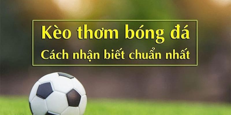 kèo thơm Một số cách nhận biết kèo thơm chuẩn xác